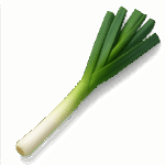ネギ