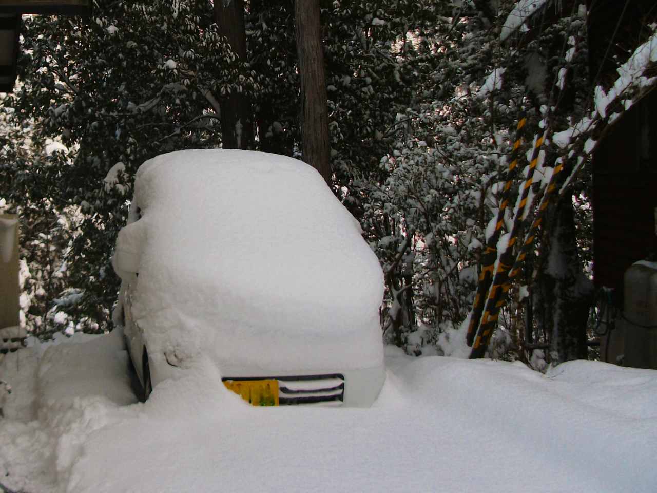 雪に埋もれた別荘地内の自動車