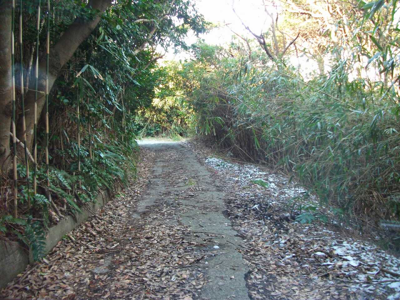 別荘地のアクセス道路