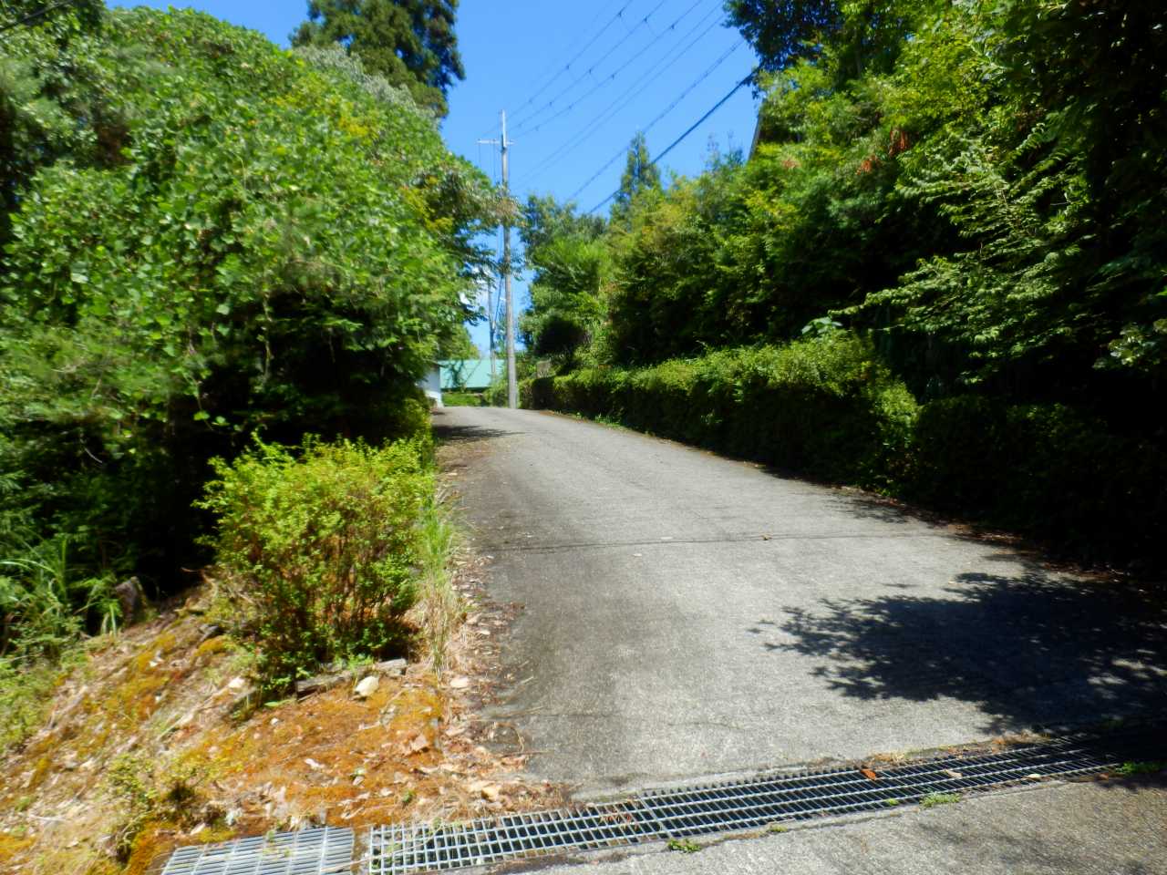 別荘地入口の坂道