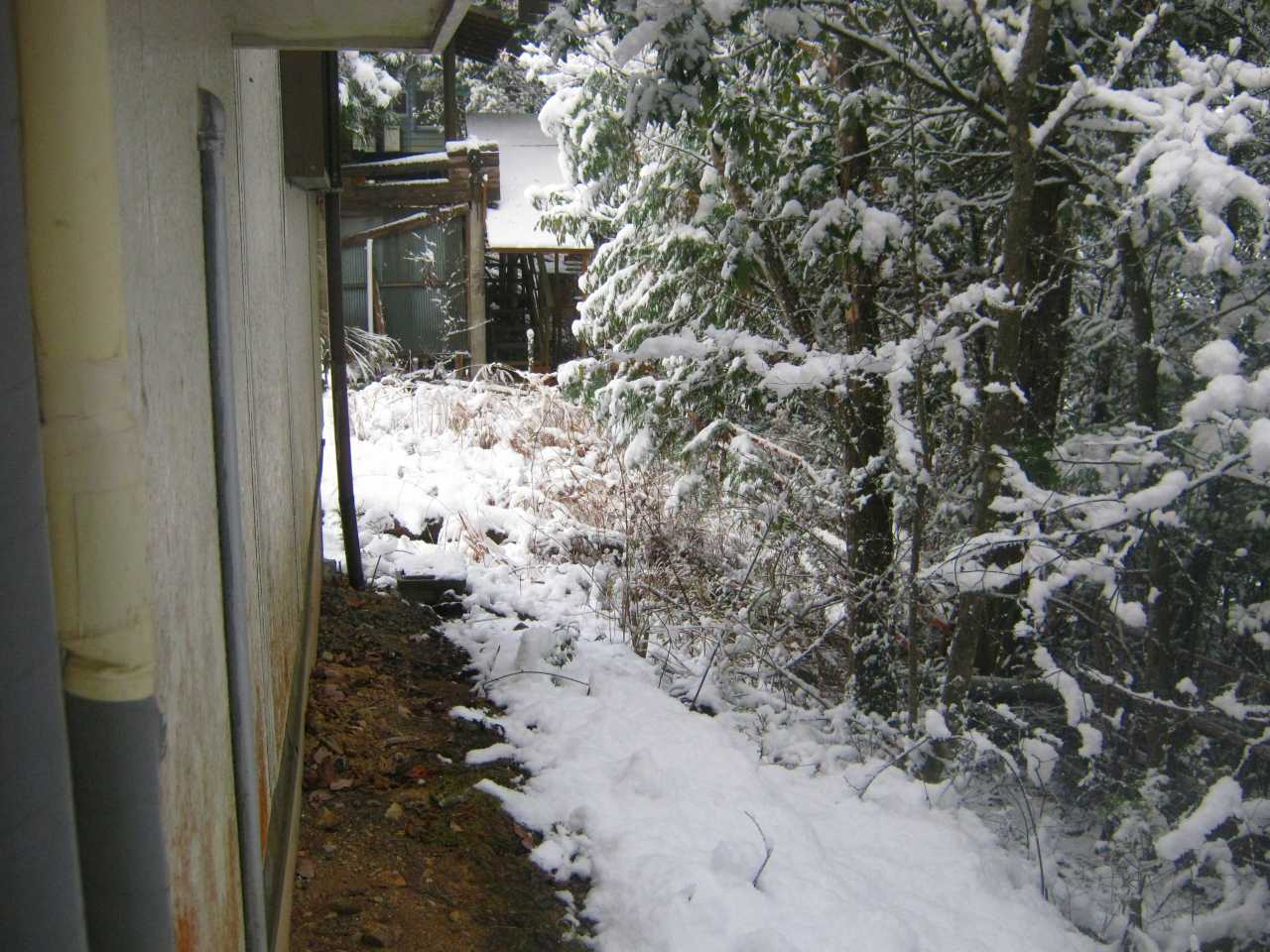 雪が積もった別荘地