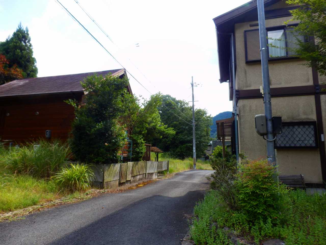 別荘地内の街路